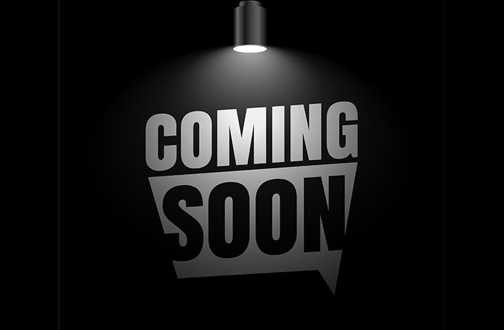 THE SENTINEL SLAB™